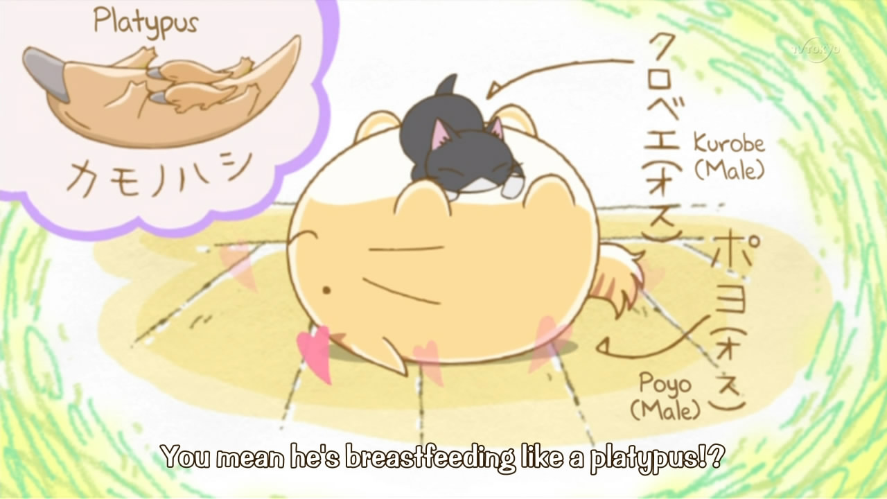 Poyopoyo Kansatsu Nikki Manga - Manga Panda