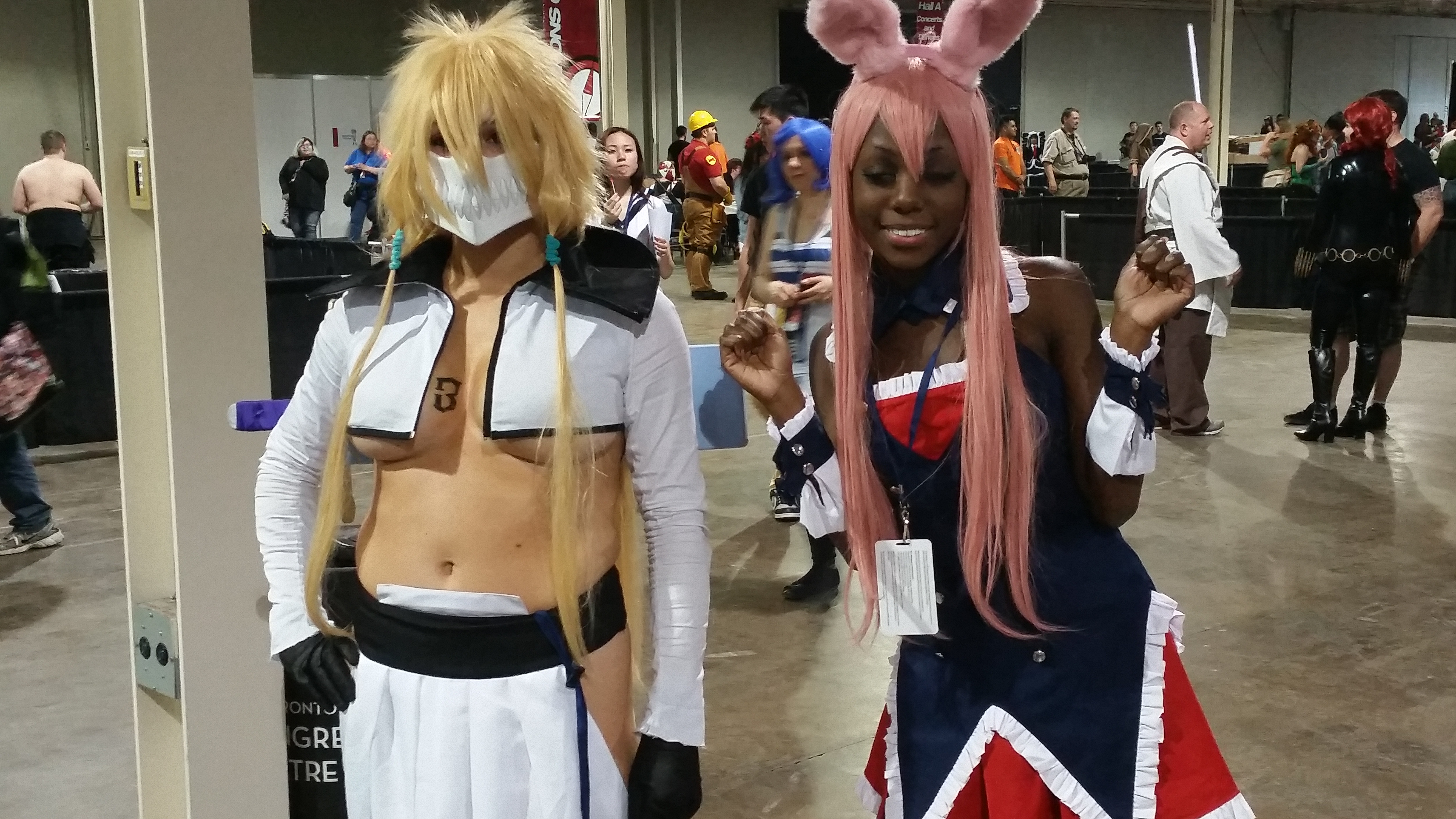 Anime North 2014 Attendance